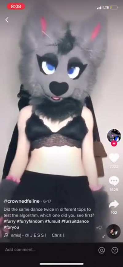 what the fuck