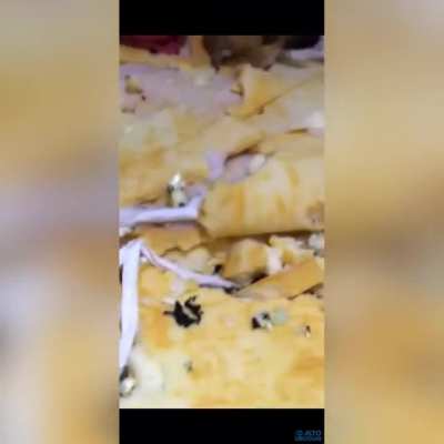 Да шо вы в самом деле, собачка проигралась просто