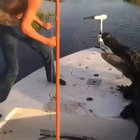 Get off my boat.