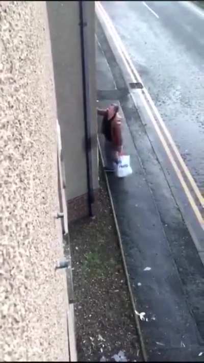 Idiot fighting innocent windows
