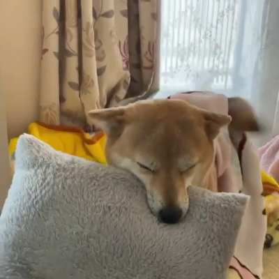 Happiness can be very simple, like holding your pillow while covered by your blanket.