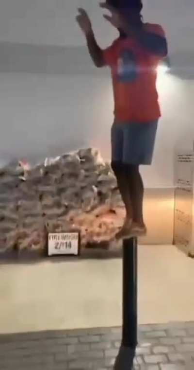 OOF-