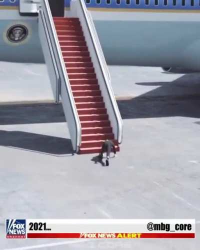 Biden...