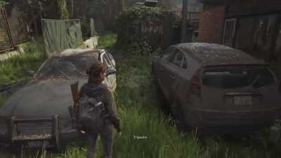 Stop! Tripwire.