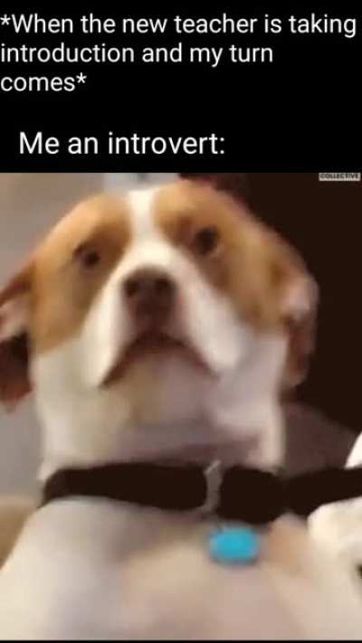 Answering struggles