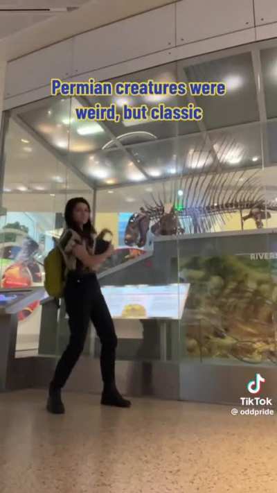 The Geologic Time Song