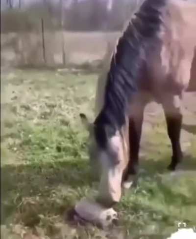 Abrupt Farm