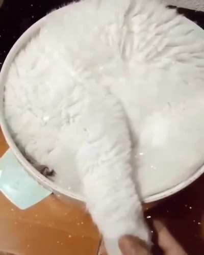Оно живое