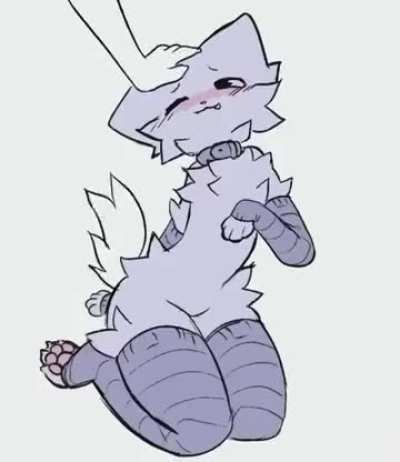 Boyz wen headpat :3