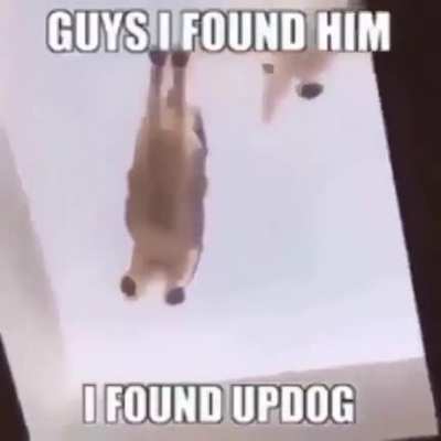 WUTS UP DOG
