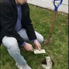 A average day
