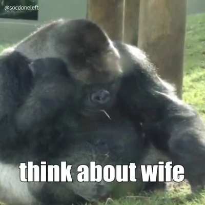 Ride wife? Life good