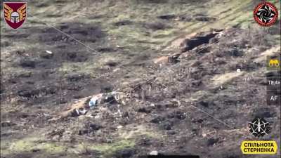 Ukrainian drone destroys russian dugout and eliminates soldier inside