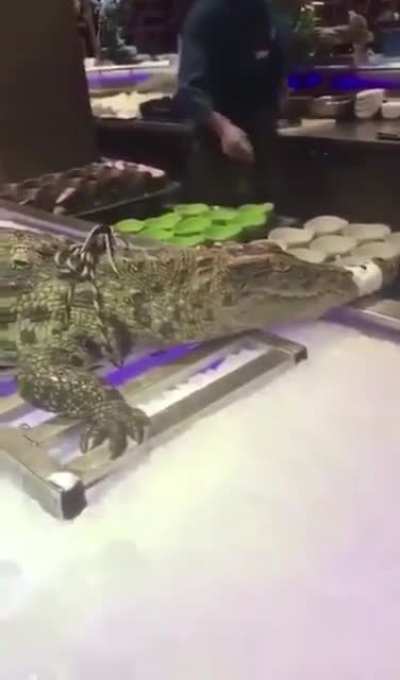 What a nice gator figure