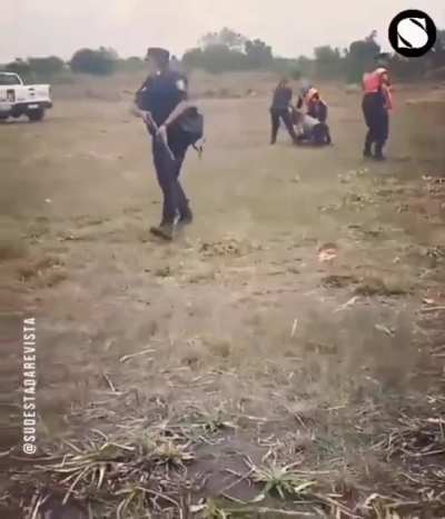 Hay creaturas, perros salvajes,okupas y represion