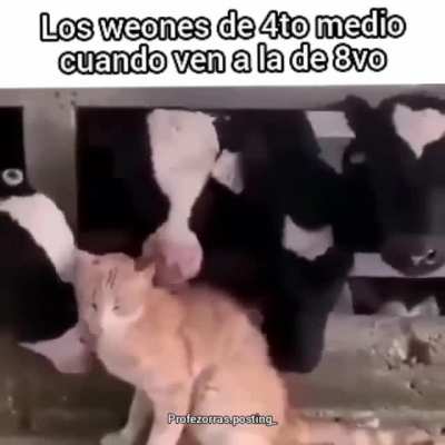 Parece chiste pero es anecdota