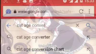 Is Chocola Legal?