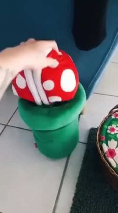 🍄 Wait what... WOOW! 😄