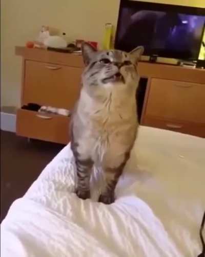 A little sneeze...