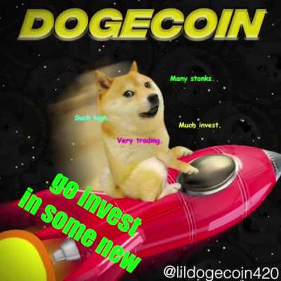 Hi my names Lil Dogecoin...just leaving this here for now #ToTheMoon