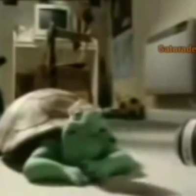 xDDDD