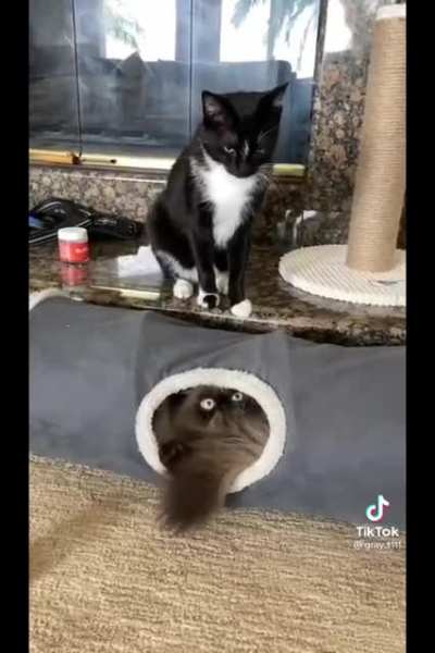 Stop grooming!
