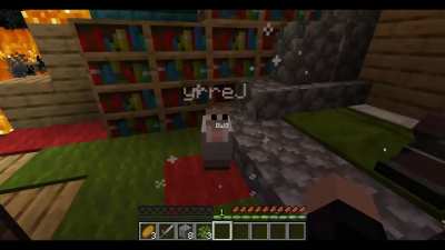 Attempt at a cursed Minecraft video (full video in the comments)