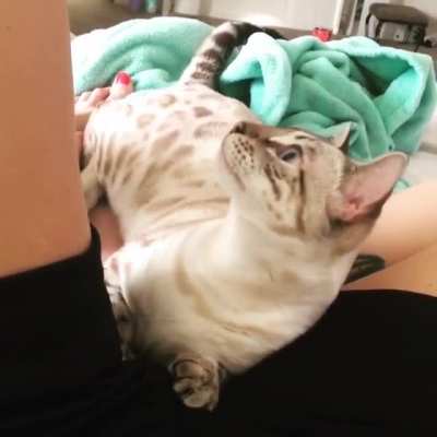 Does this count ?