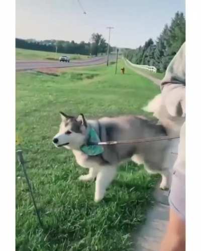 Who put that there??
