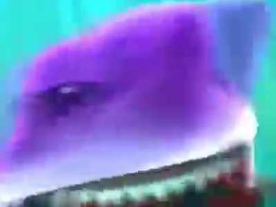 HOTWHEELS ARABAN SHARKYDEN KURTULABiLiR Mi SENi CANLI CANLI YUTAR ĞĞAĞH<wbr>ĞAHĞĞ<wbr>Ğ BiR DAHA DENE SENi ŞANSLI ARABA FIRLAT AĞĞĞĞĞĞH BU ACIDI IAAĞĞ<wbr>ĞĞĞĞH iŞTE BUNA KAZA DERiM HOTWHEELSTAN ÇILGIN SHARKY SAHİLDE
