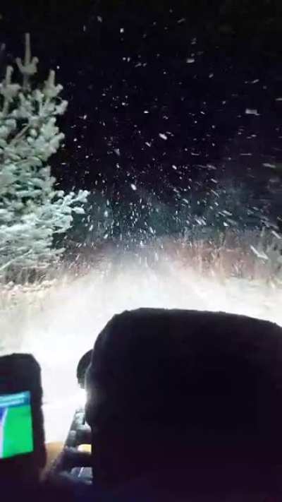 Magic snow! Night rides in the forest