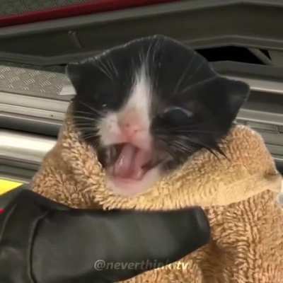 💢
