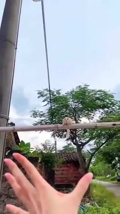 Amazing catch in the day.