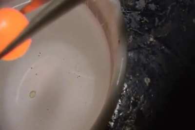 Red hot nickel ball in water ( TURN ON SOUND )