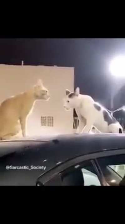 You looking at me?