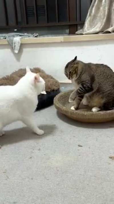 Instant regret