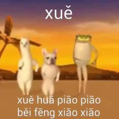 Banda, encontré el video original que sale en la publicidad de kwai