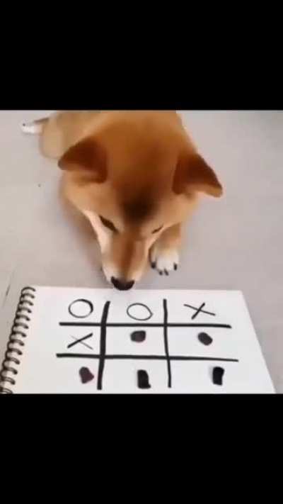 Let's play