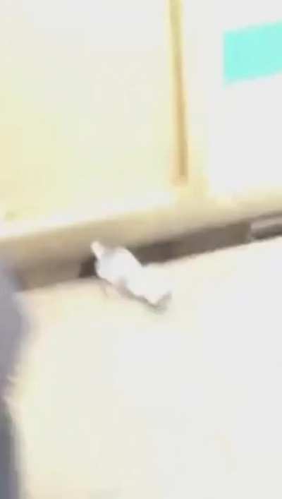 Oh no the train...