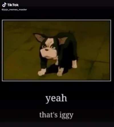 Iggy