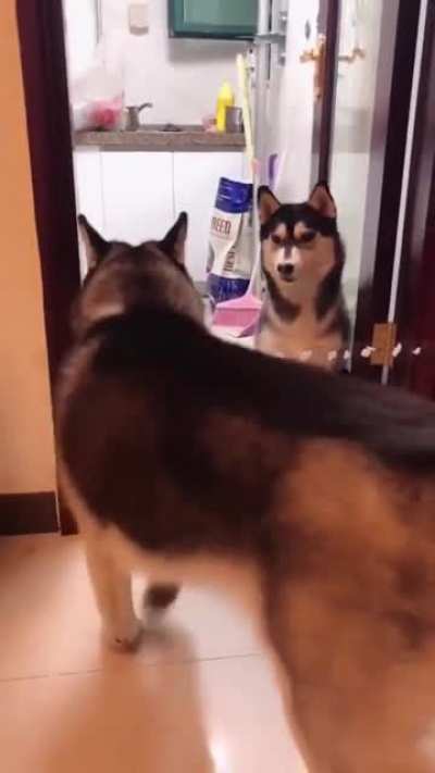What a gentleman!
