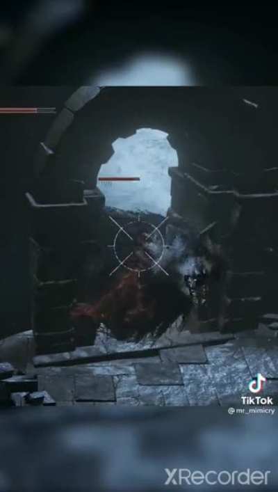 Big wolf's not allowed in here.