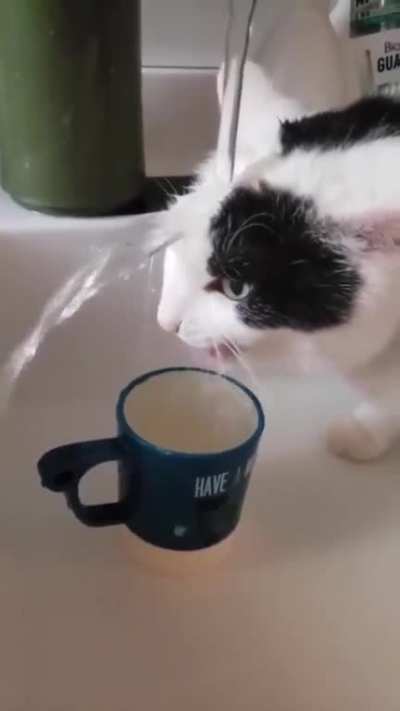 hmmm