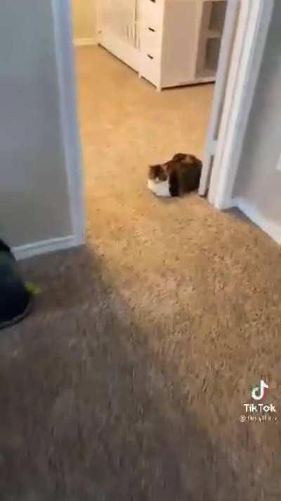 Title
