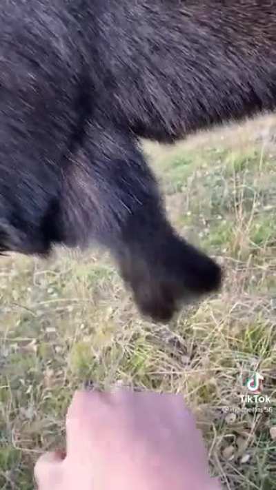 What a dick