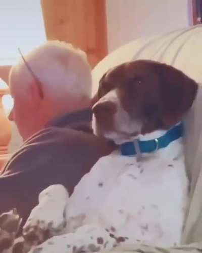 Woof_irl