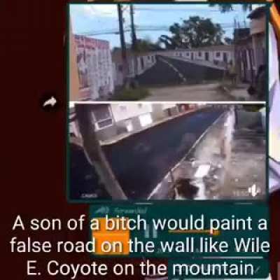 nooo el coyote y el correcaminos??? :flushed: