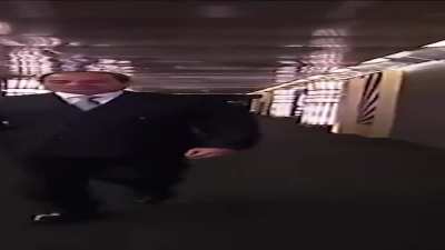 wide sisi