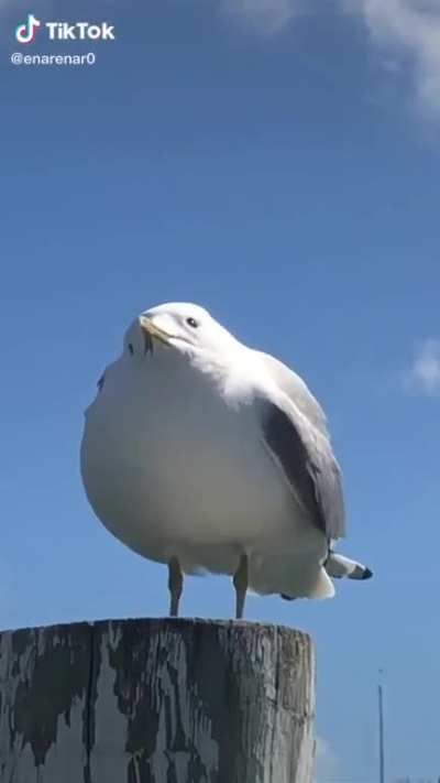 AAAAAAAAAAAAAAAAAAA