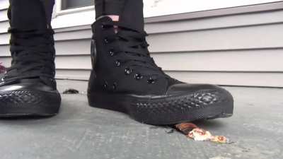 sneaker crush2 convres